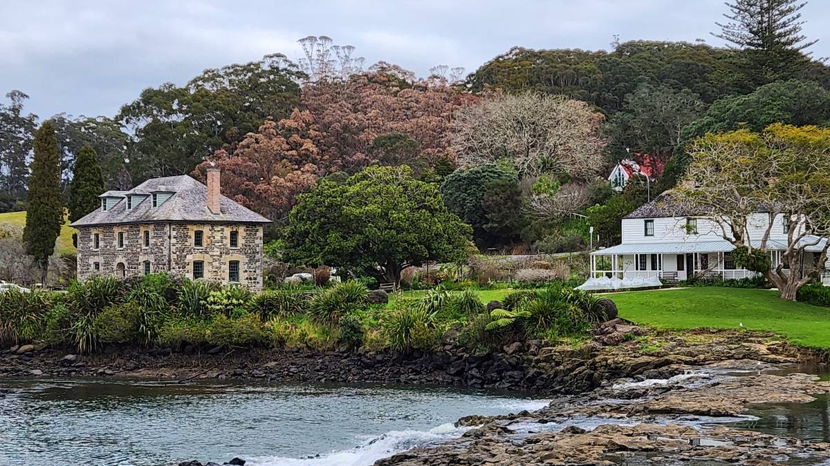 Local elderly man fined for poisoning 50 gum trees near historic Kerikeri site