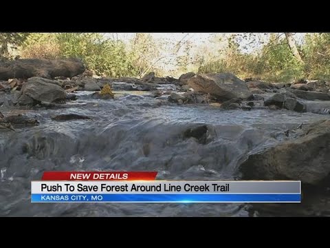 Northland residents try to save one of the area's last-remaining forests