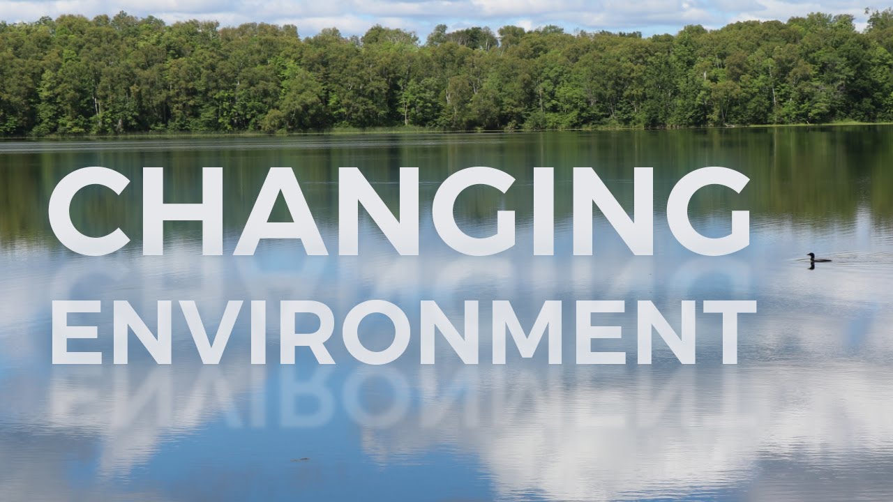 Our lakes are changing: A Northland Environmental Series