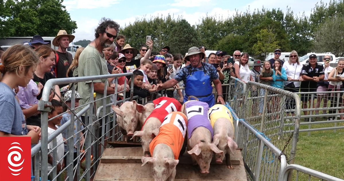 Racing pigs, rides and rural displays draw crowds to Kaikohe A&P