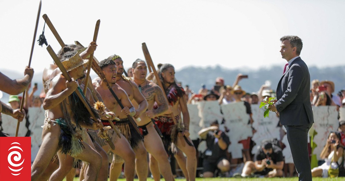 Waitangi Day 2024 live stream: Government welcomed at Treaty grounds