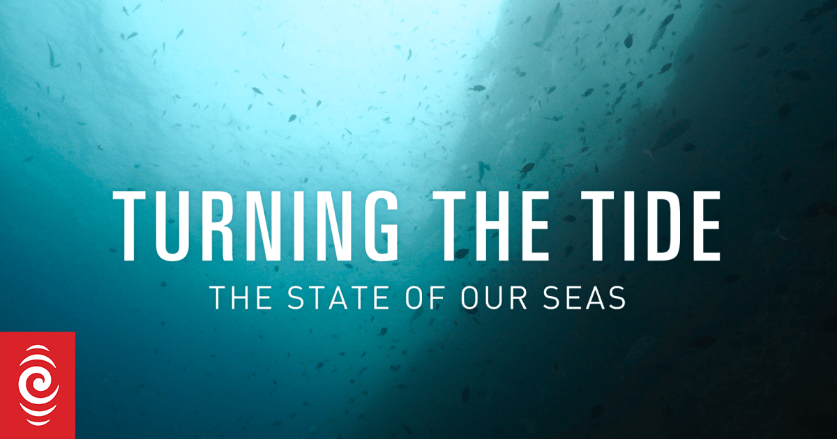 Turning the Tide | Episode 1: The State of Our Seas