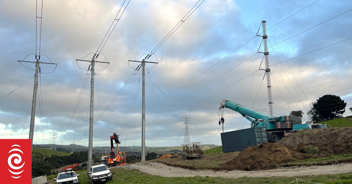 Northland power cut investigation ramps up as businesses cry out for compensation