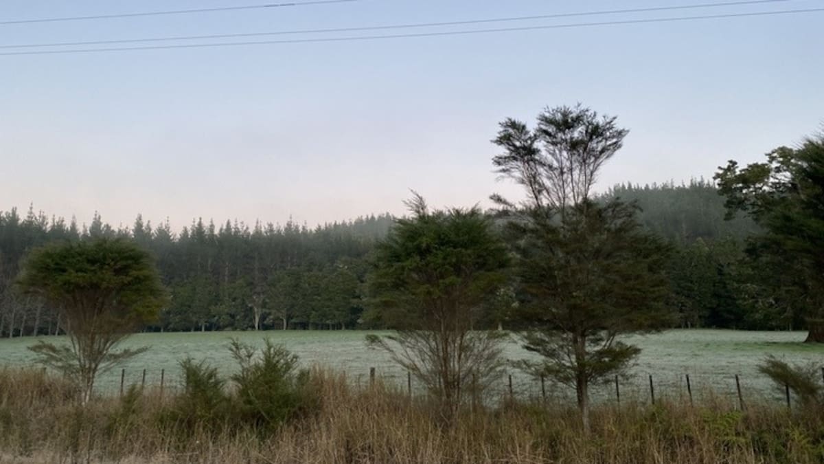 Northland shivers in coldest morning of the year – 6C lower than July norm