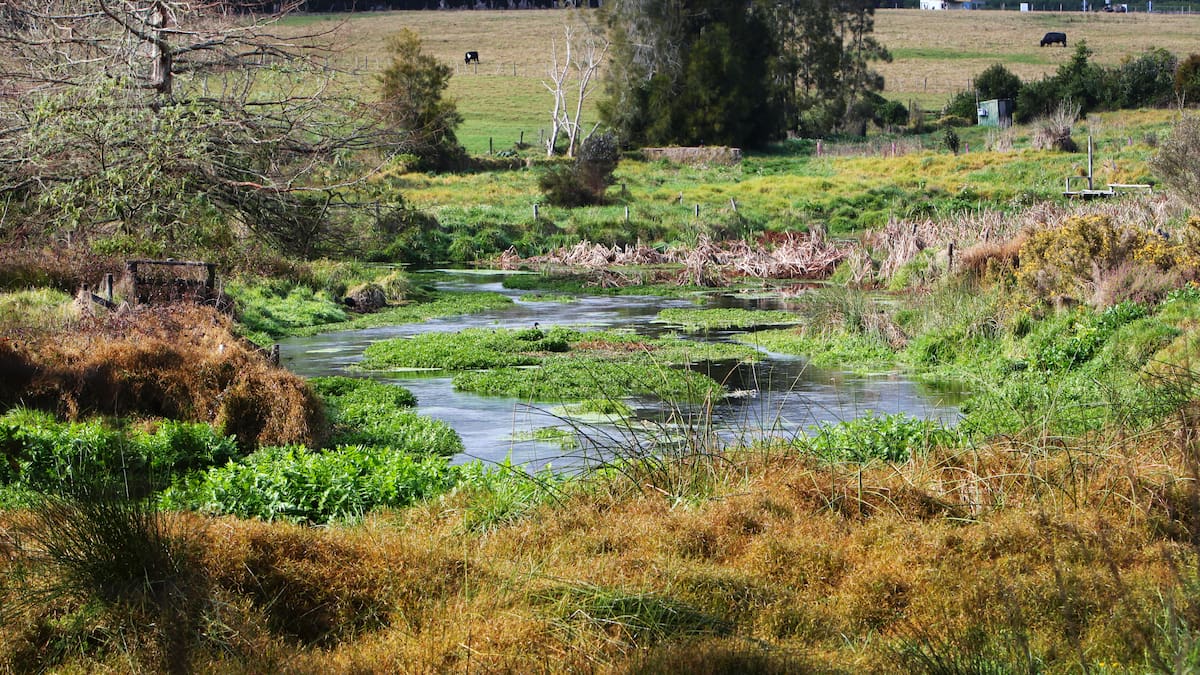 I’m proud of what we have done towards the productivity and prosperity of Whangārei District – John Williamson