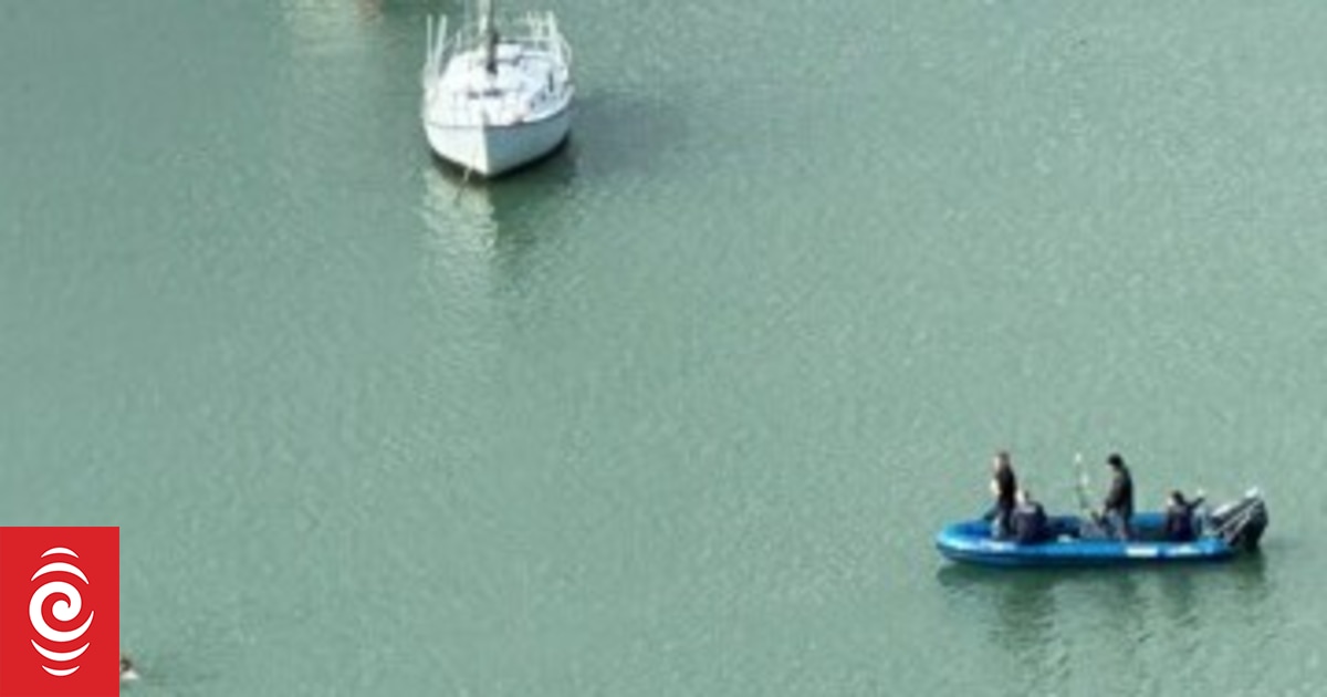 Suspected boat burglar swims away from police in slow-motion Bay of Islands chase