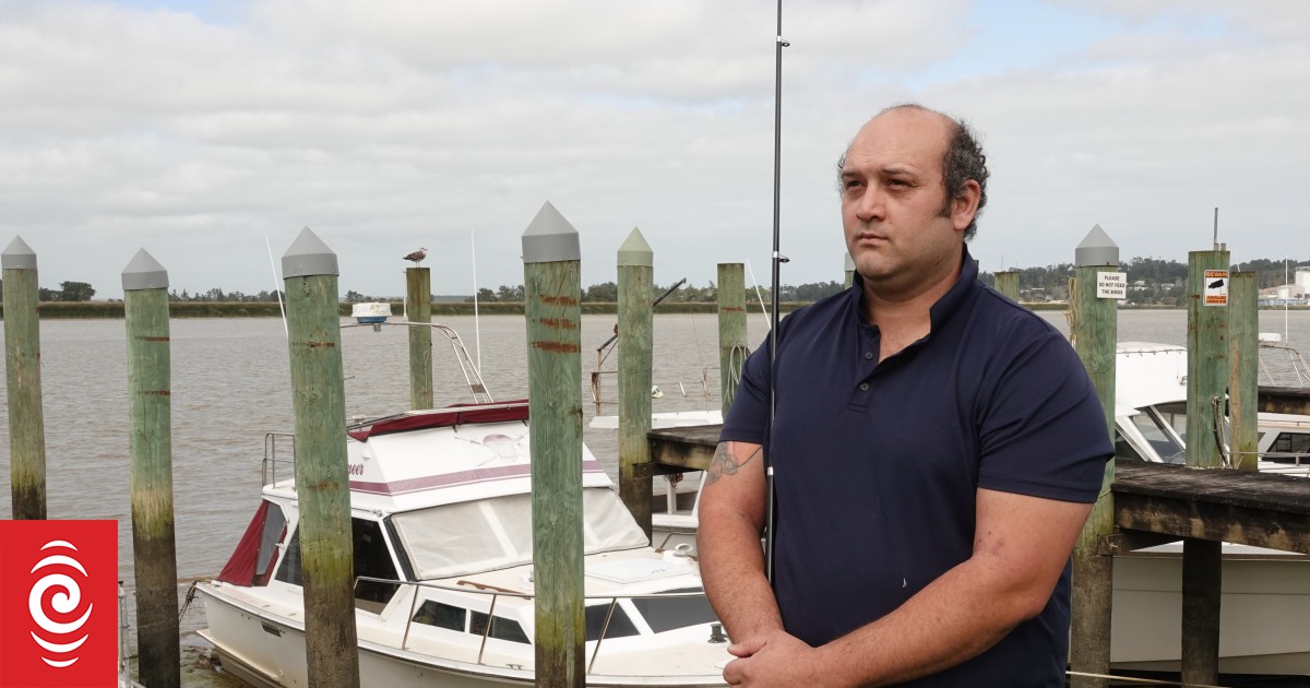 ‘Zombie fish’ highlighting pollution concerns with Northland’s longest river