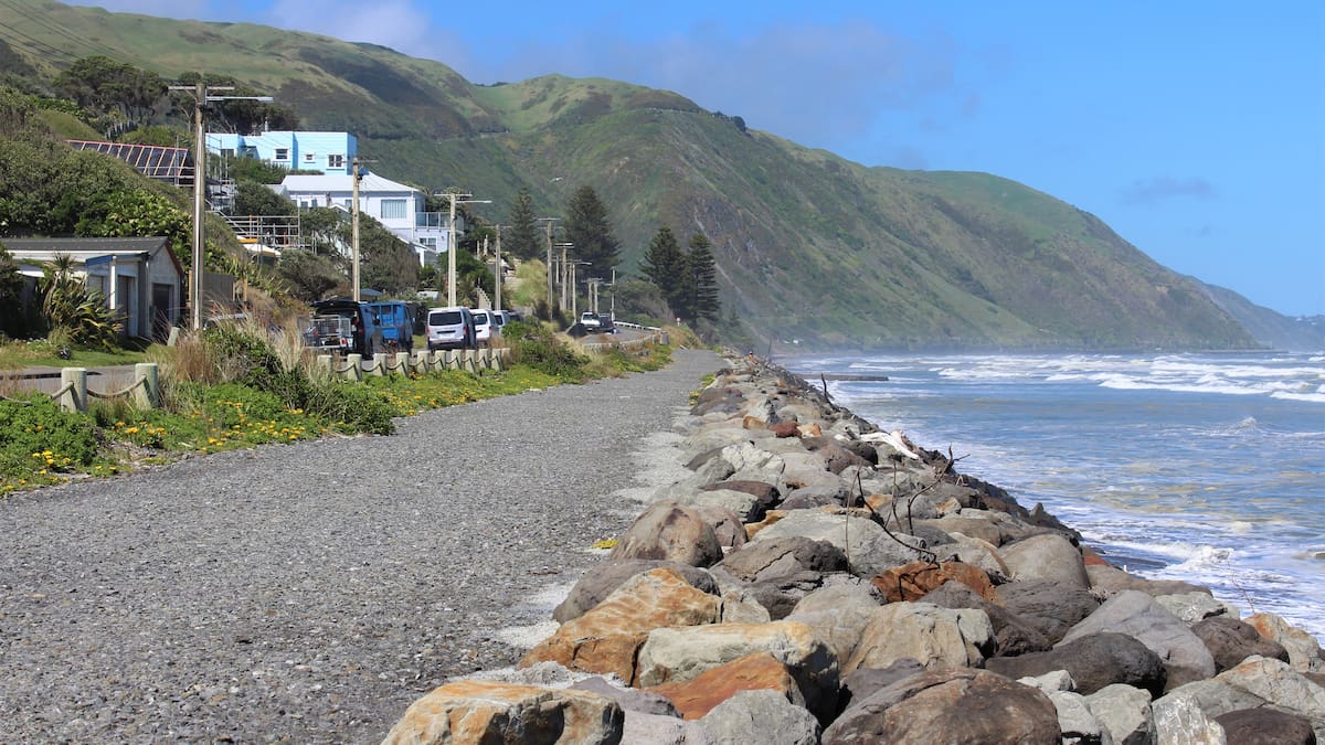 Fish so sick they are called zombies found from Paekākāriki to Northland