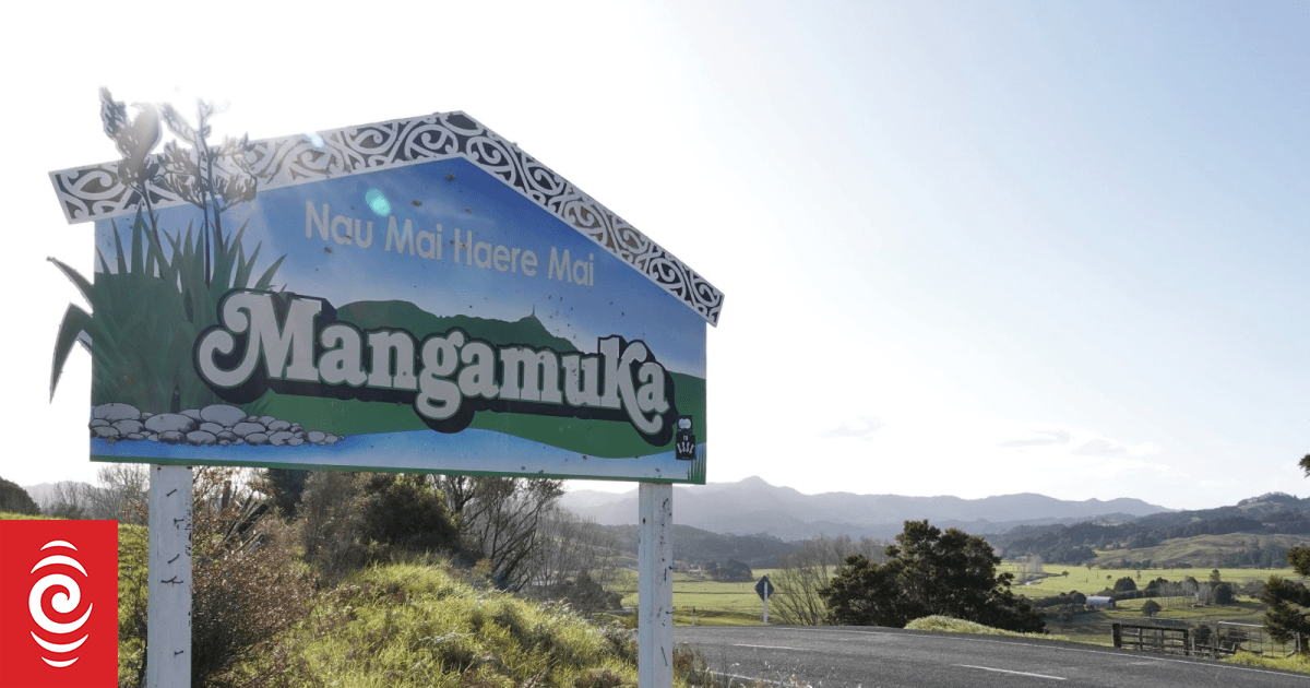 Serious crash near Mangamuka Gorge road just one day after it reopened