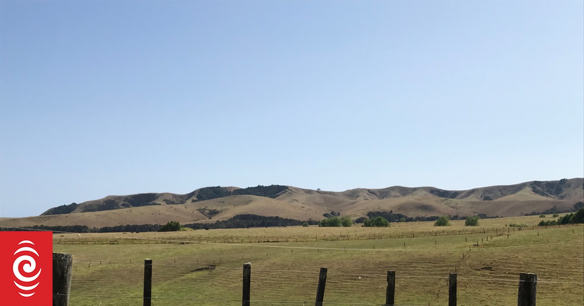 Northland Regional council urges residents and holidaymakers conserve water amid dry summer