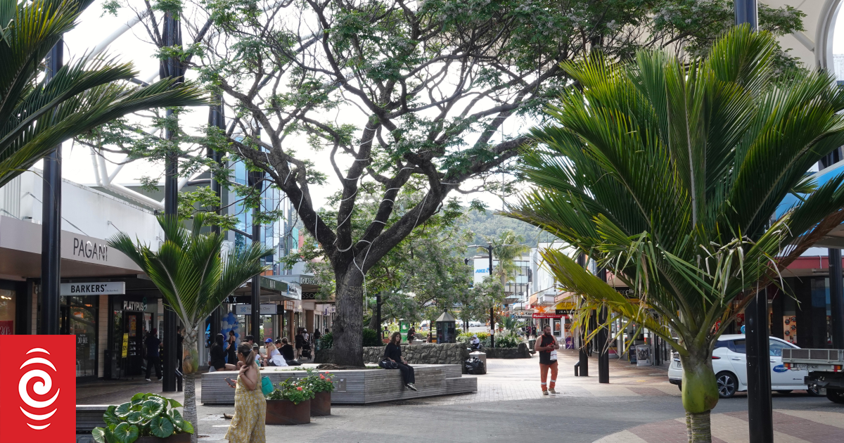 Whangārei welcomes buzz ahead of rare sporting spectacle as it hosts Māori All Blacks and Scotland