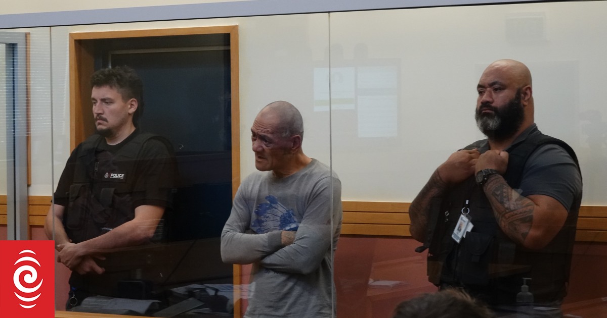 Whangārei court hears closing arguments in deadly Panguru dog attack trial