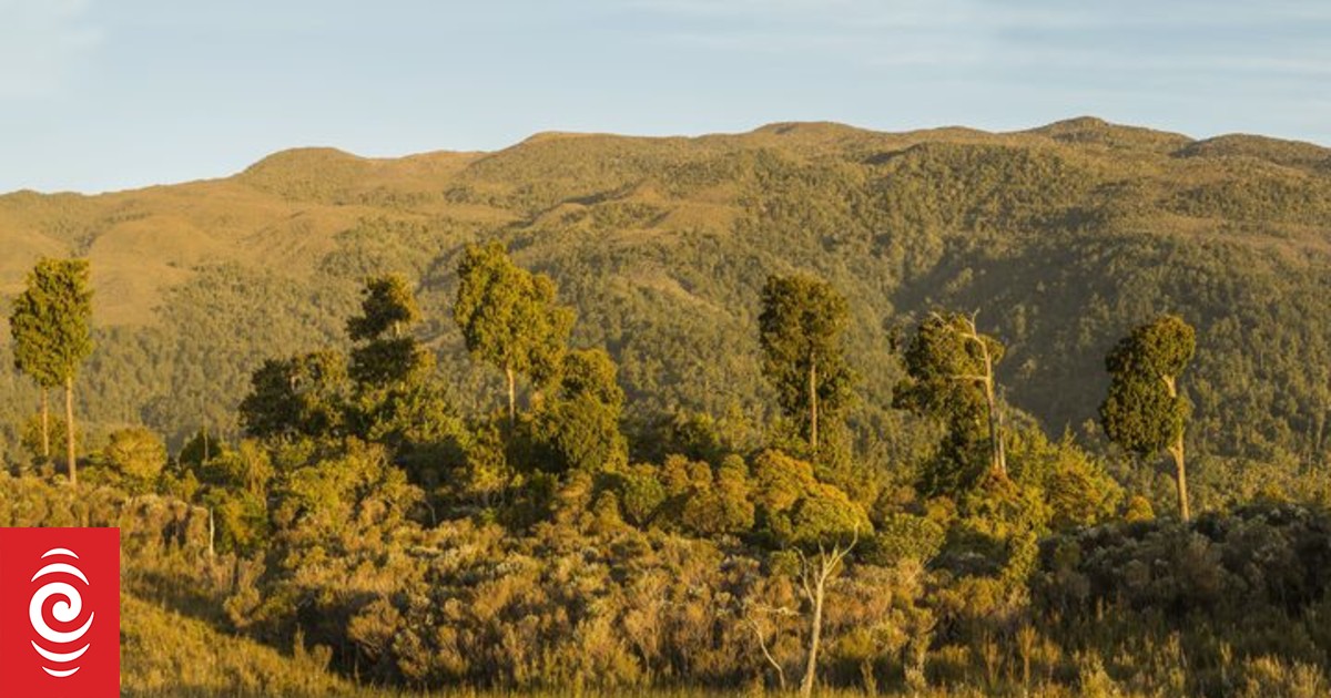 The Panel with Deborah Hart and Andie McCombs Part 1