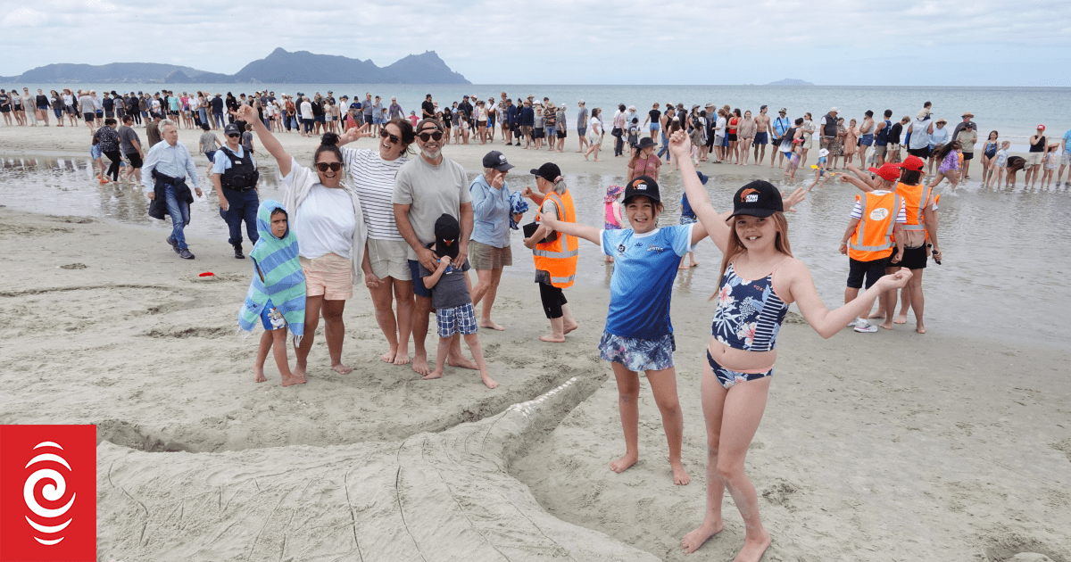 Sandcastle world record broken during anti-mining protest