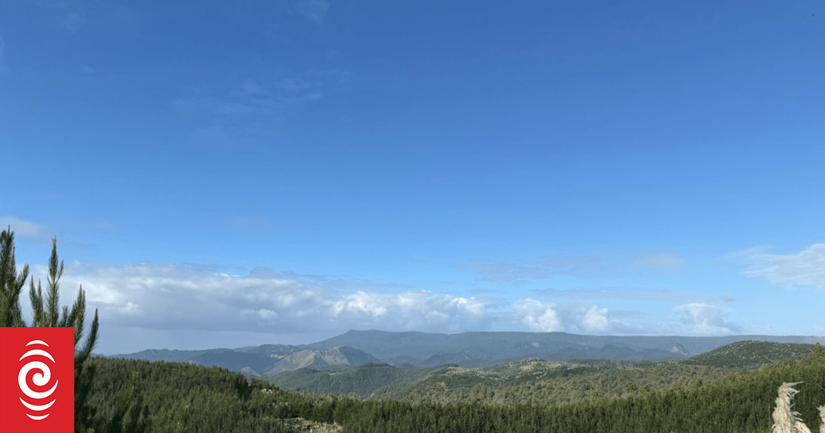 Ikea owner buys up Northland forestry