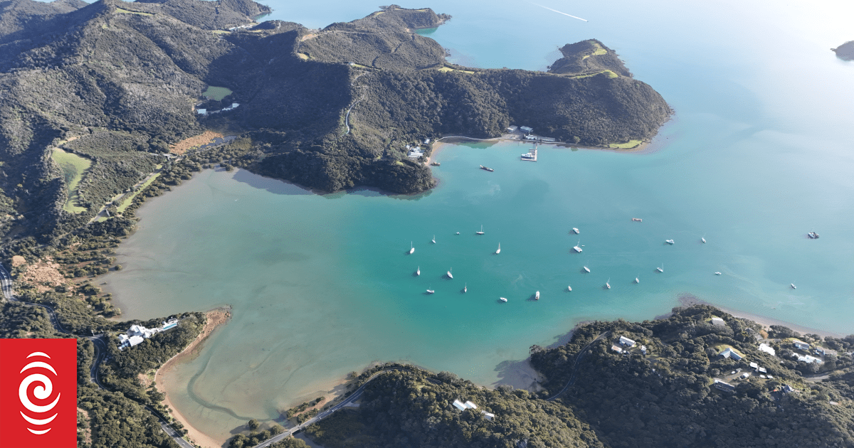 Bay of Islands residents’ group challenges government decision to fast-track Waipiro marina