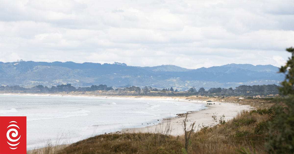 Thousands expected to attempt Guiness World Record for sand sculpture building in Ruakaka
