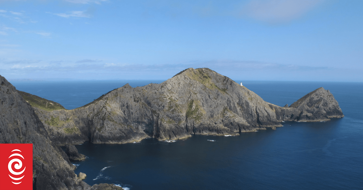 Search for wreckage of plane after crash in Bay of Islands